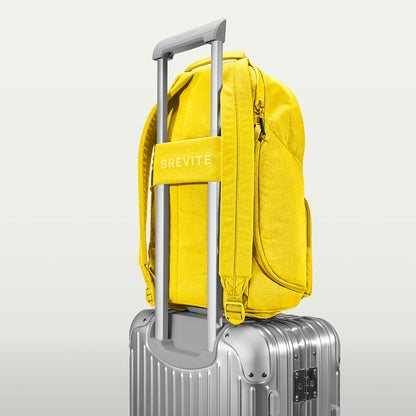 #color_lemon-yellow