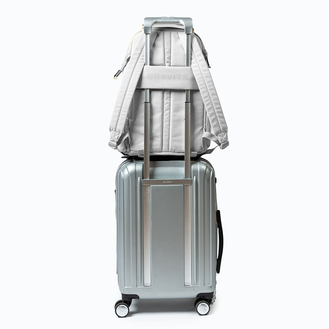 #color_nimbus-gray-L-GRY
