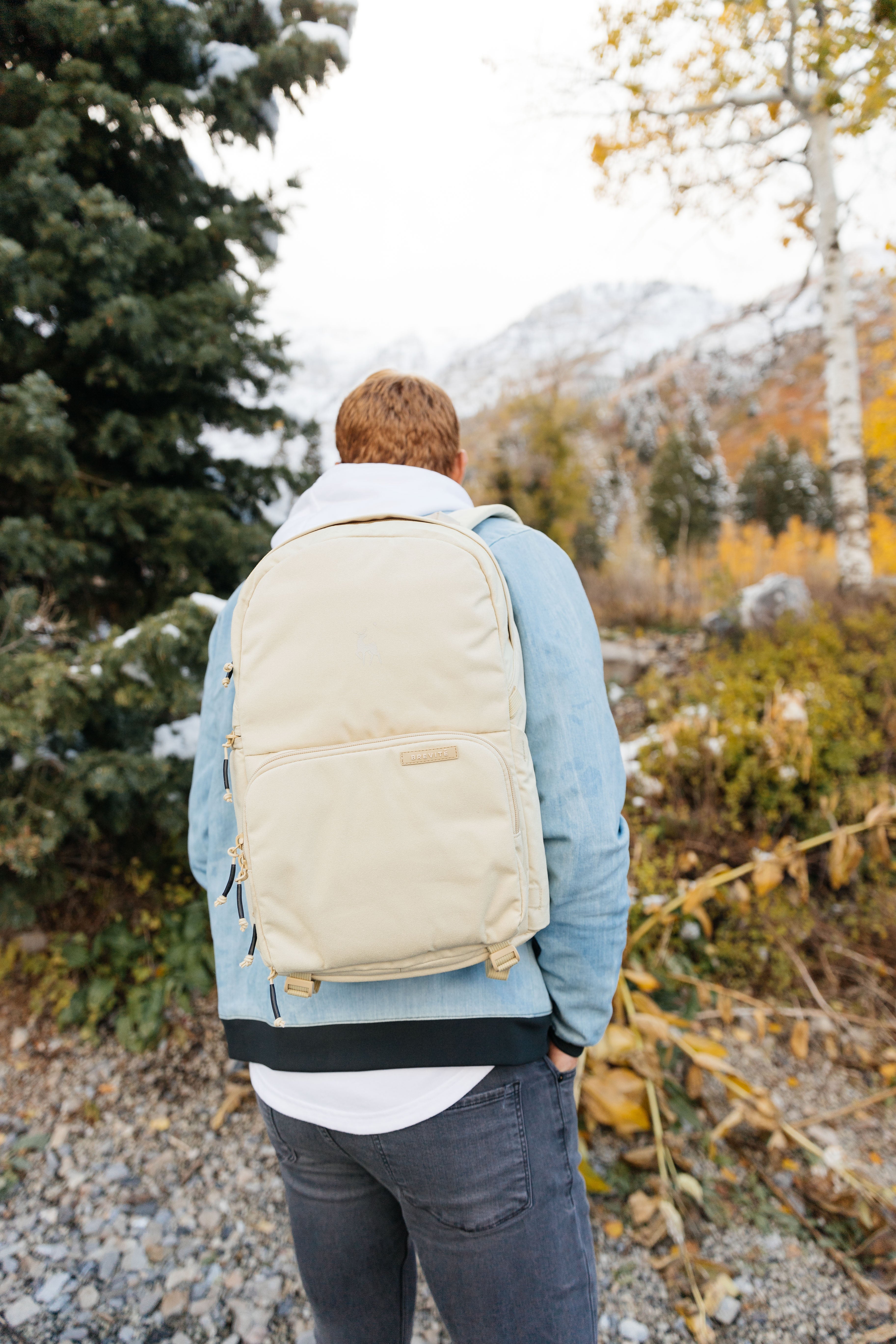 Brevite jumper large Clearance